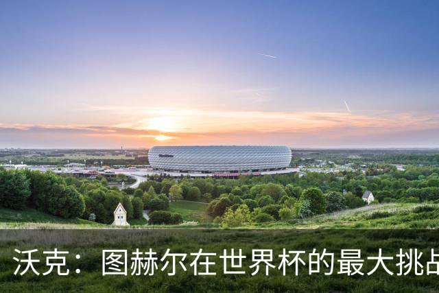 沃克：图赫尔在世界杯的最大挑战不是场上，而是场外让球队团结