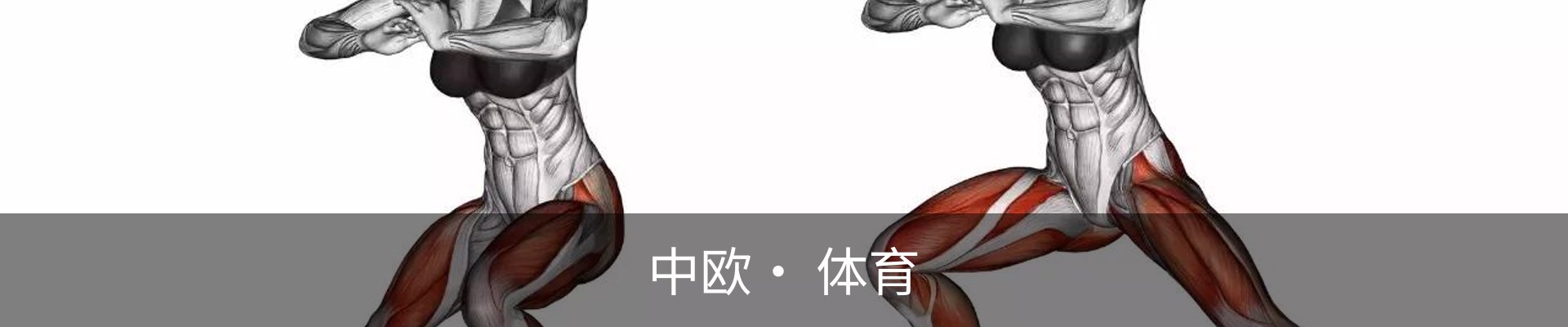中欧· 体育(中国)官方网站 - ZO SPORTS